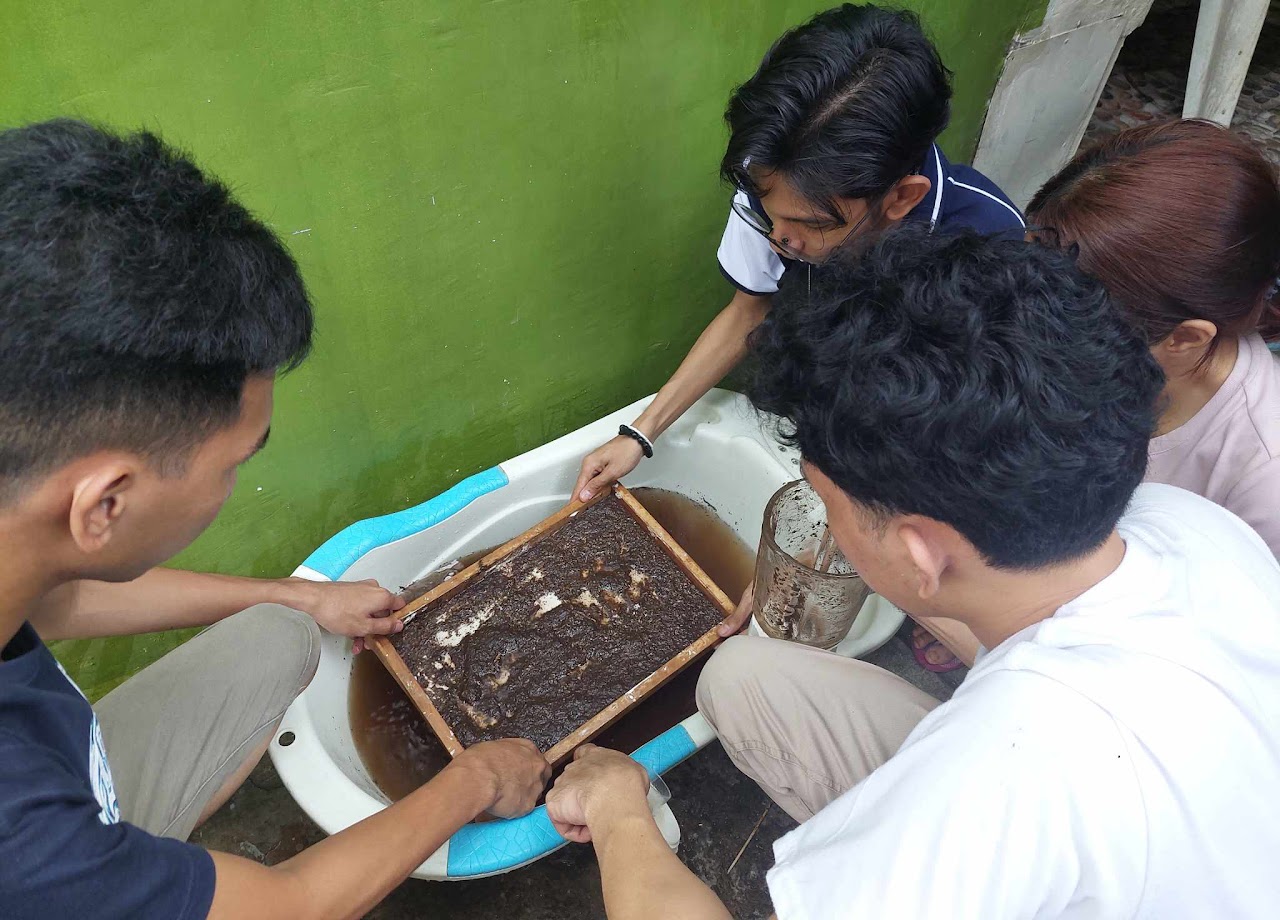 Leaf paper production process